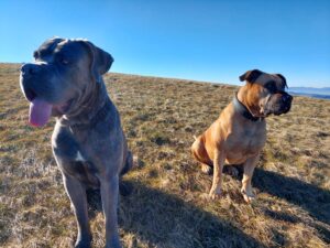 Neo und Alva