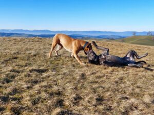 Spiel und Spass
