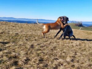 Neo und Alva