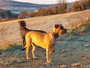 Neo und Alva