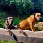 Neo und Alva